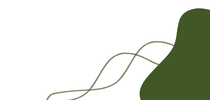 Nguyễn Thuý Hằng